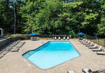 A large outdoor swimming pool surrounded by sun loungers and trees.